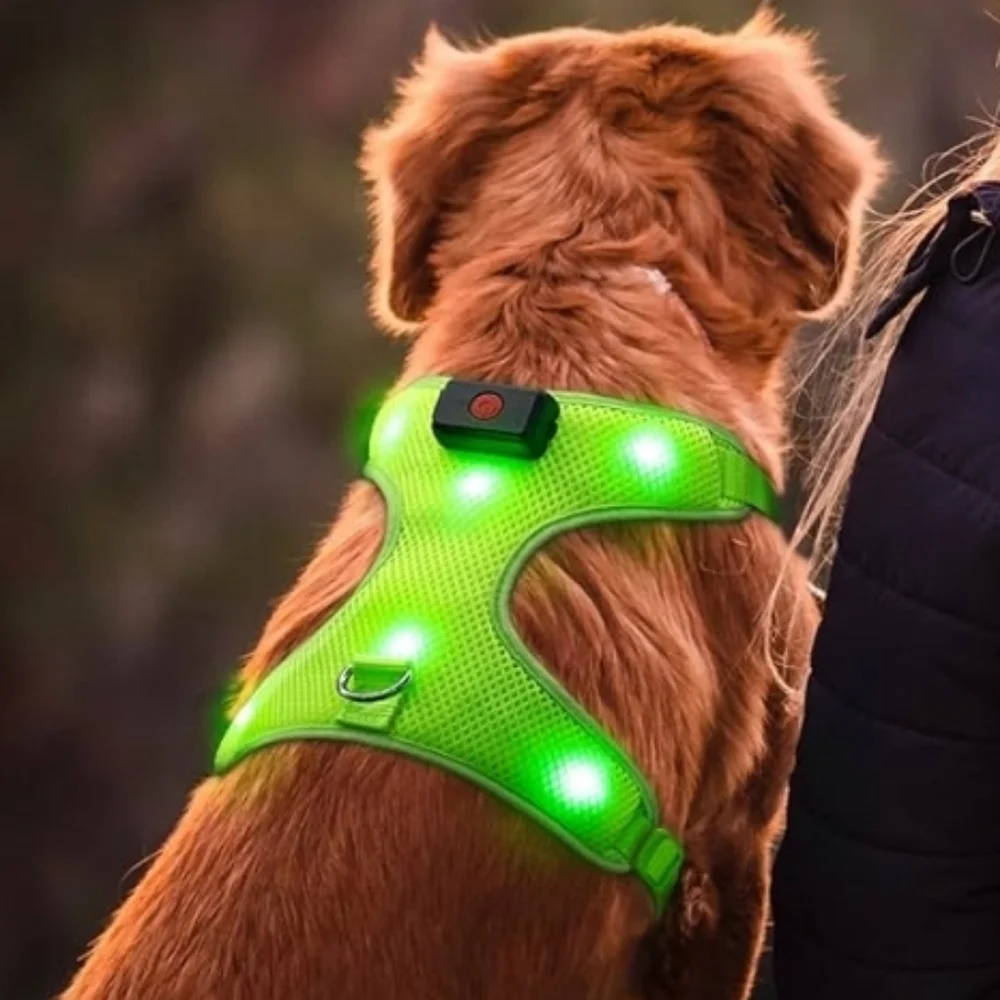 Flashseen LED USB Rechargeable Dog Harness In Neon Green Size M